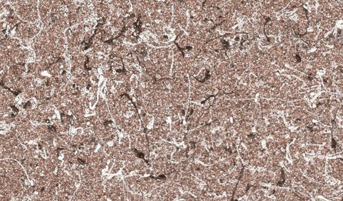 پاورپوینت رنگ مولتی کالر