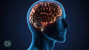 اختلالات دژنراتیو سیستم عصبی (ppt) 132 اسلاید