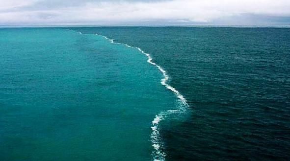 پاورپوینت شگفتی های خلقت