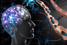 پاورپوینت مولتیپل اسکلروزیس