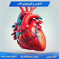 پاورپوینت فیزیولوژی قلب