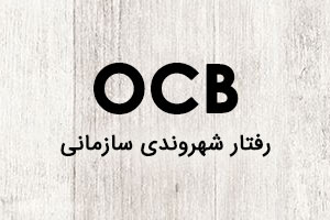 پاورپوینت رفتار شهروندی سازمانی